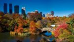 Central_park
