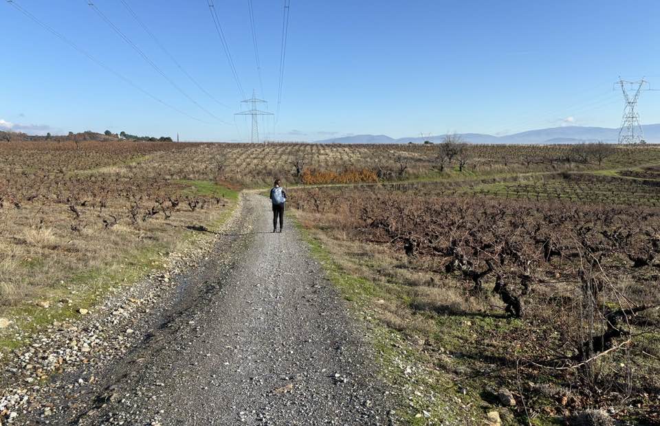 Camino Frances z Ponferrada do Santiaga